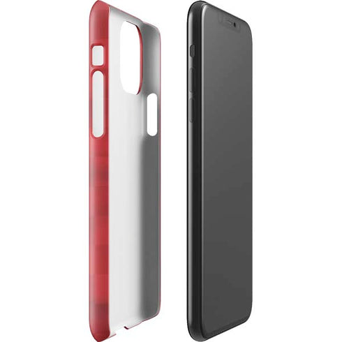 Egypt Soccer Flag iPhone 11 Pro Max Lite Case